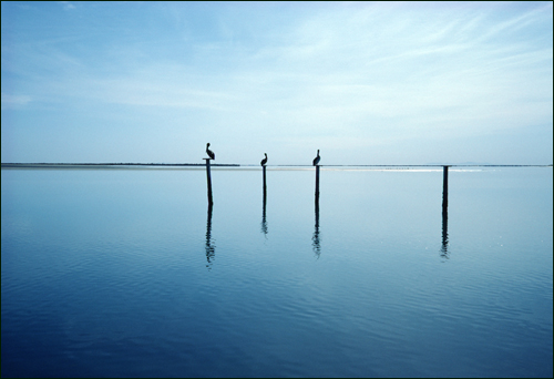 Baja Knio, Mexico